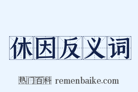 休因反义词是什么意思的图片